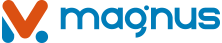 Magnus Solutions